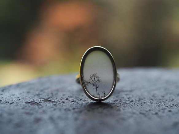 dendritic agate brass ring (shunshuu) 9枚目の画像