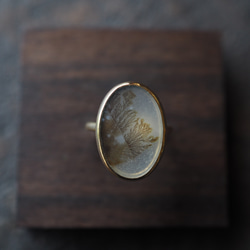 dendritic agate brass ring (shungyou) 2枚目の画像