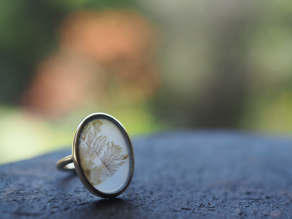 dendritic agate brass ring (shungyou) 11枚目の画像