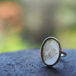 dendritic agate brass ring (shungyou) 10枚目の画像