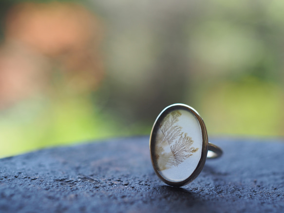 dendritic agate brass ring (shungyou) 10枚目の画像