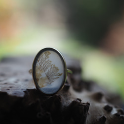 dendritic agate brass ring (shungyou) 1枚目の画像