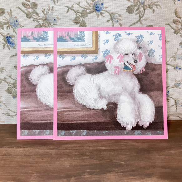 Dog postcard Poodle 1枚目の画像