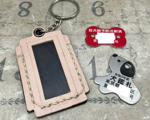 564aa90789c6d2e94e45db3c0a0336