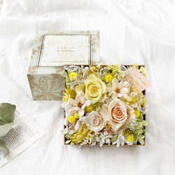 ウッドショッパーズ～sweet～ プリザーブドフラワー 花結 通販