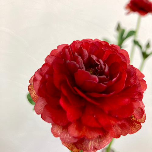 ラナンキュラス『ラックス』ハデス＊5号スリット鉢 アートフラワー