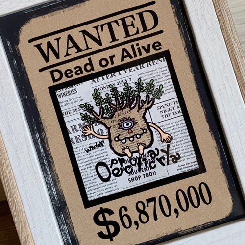 フレーム付き☆イラスト☆ オペルクリカリア・パキプス イラスト