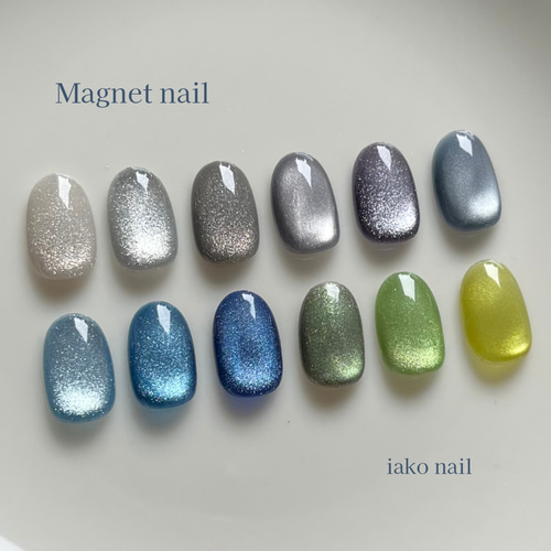 選べる」 マグネット ネイルチップ 寒色 ネイルチップ（つけ爪） iako
