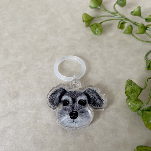 シュナウザーちゃんをこよなく愛する方専用傘マーカー その他雑貨