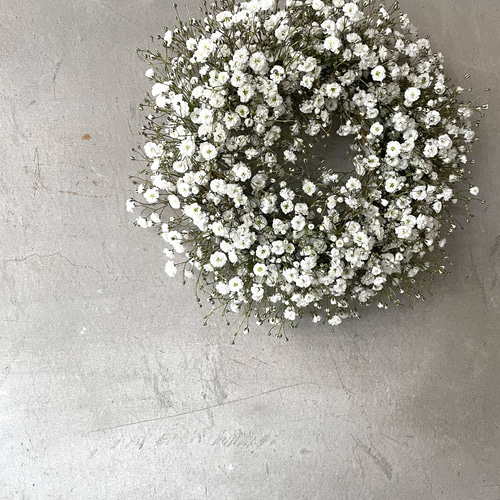 母の日早割2024 】かすみ草のリース(生花)【予約販売】 リース