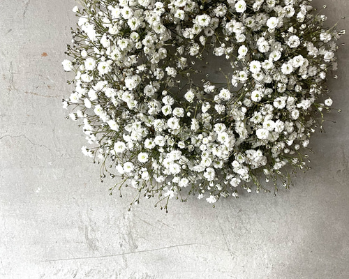 母の日早割2024 】かすみ草のリース(生花)【予約販売】 リース