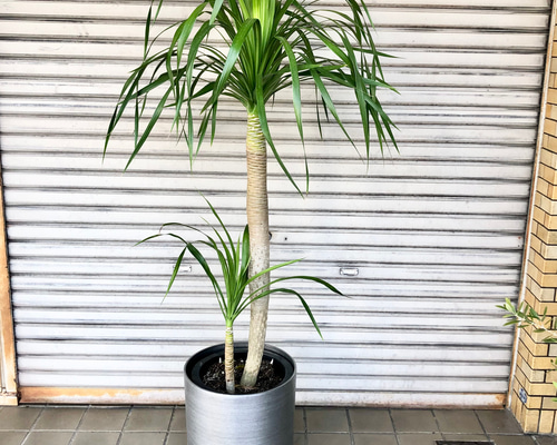 edc59ea2e9ec38c6047b4dd990feb6