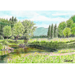 透明水彩画原画一点物〜自由にどこまでも 原画一点物 「あぜ道に立つ一本の木」 ＜ペンスケッチ＋透明水彩