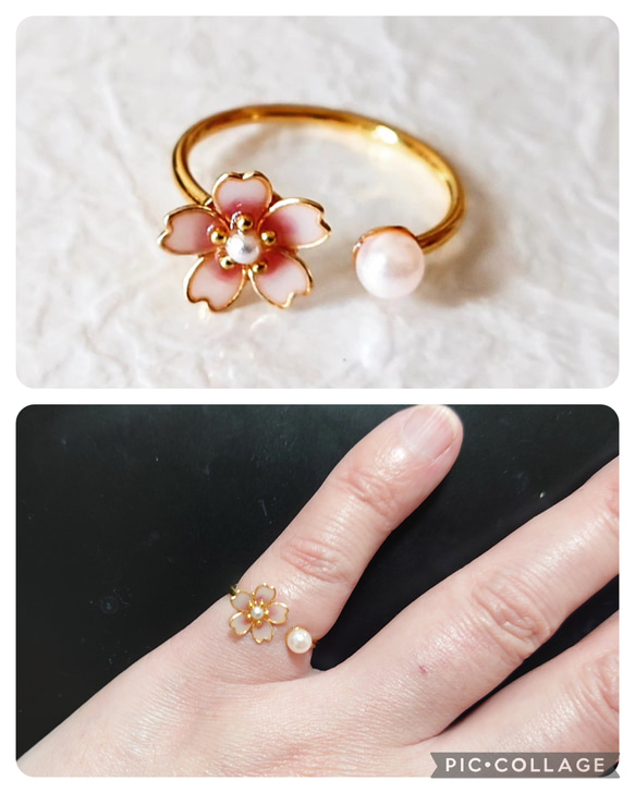 桜の指輪 2枚目の画像