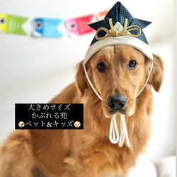 大型犬用　全９種　かぶれる兜　こどもの日 1枚目の画像