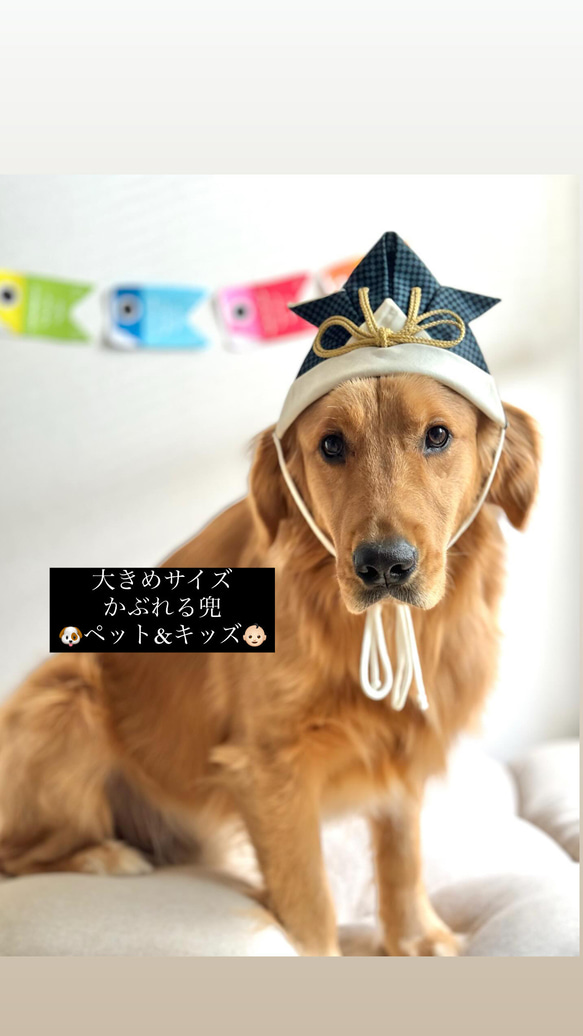 大型犬用　全９種　かぶれる兜　こどもの日 1枚目の画像