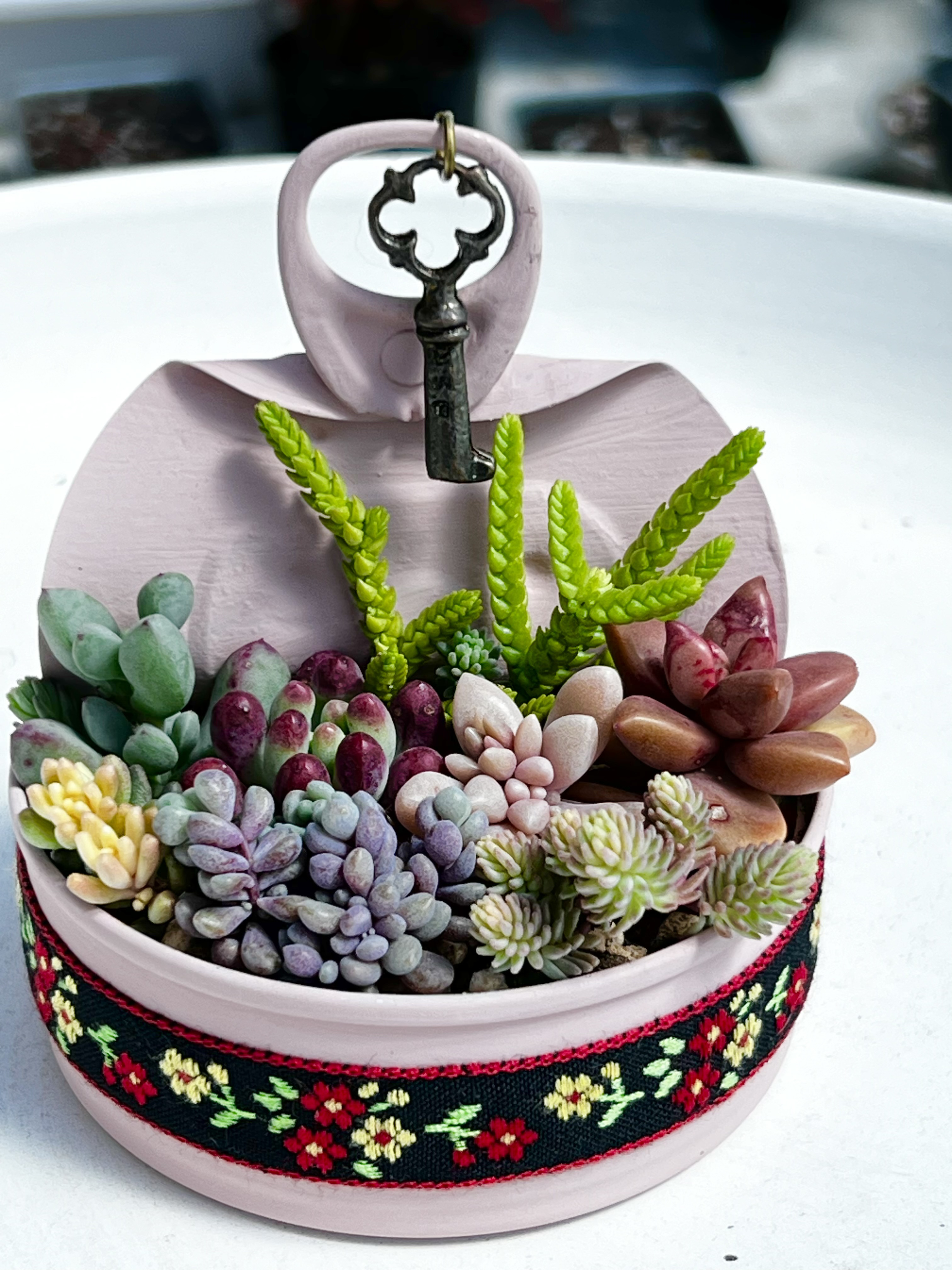 ★多肉植物　寄せ植え〜リメ缶チェーン寄せ〜★ ☆多肉植物 寄せ植え〜リメ缶チェーン寄せ〜☆ 【公式通販】