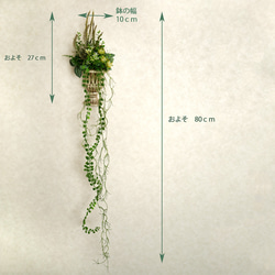 ＊人工植物アレンジ＊フェイクグリーンハーフポット＊フェイク観葉植物＊限定品 10枚目の画像