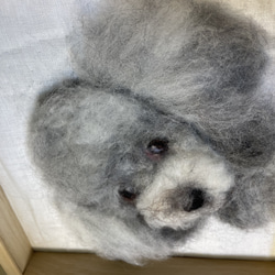 羊毛フェルト　犬ポートレート　うちの子オーダーメイド肖像画　25cm×25cm 3枚目の画像