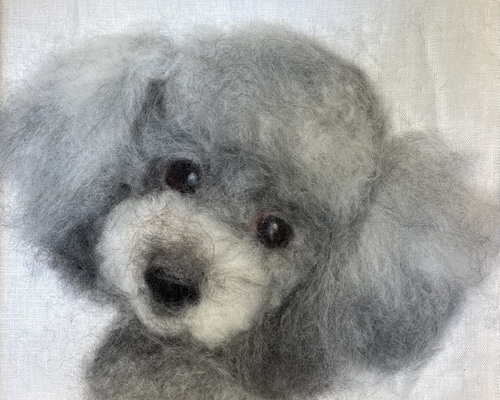 a9dfafadbdd8ea6b4cd01cb828cb14