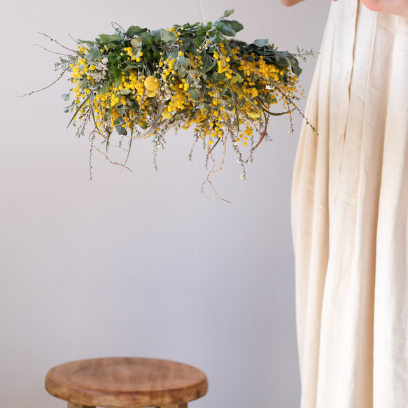 ミモザフライングリース2