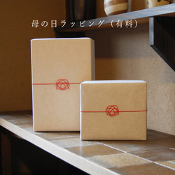 【母の日ギフトにおすすめ】愛知県常滑産・春秋窯さんのつくる常滑急須・300cc・湯冷まし・300ccセット 18枚目の画像