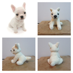 【期間限定！お試し価格(5/31まで)】犬の写真1枚からオリジナルのぬいぐるみをお作りします　犬　わんこ　ペット　3D 5枚目の画像