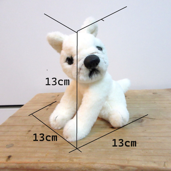 【キャンペーン早期終了しました】犬の写真1枚からオリジナルのぬいぐるみをお作りします　犬　わんこ　ペット　3D 3枚目の画像