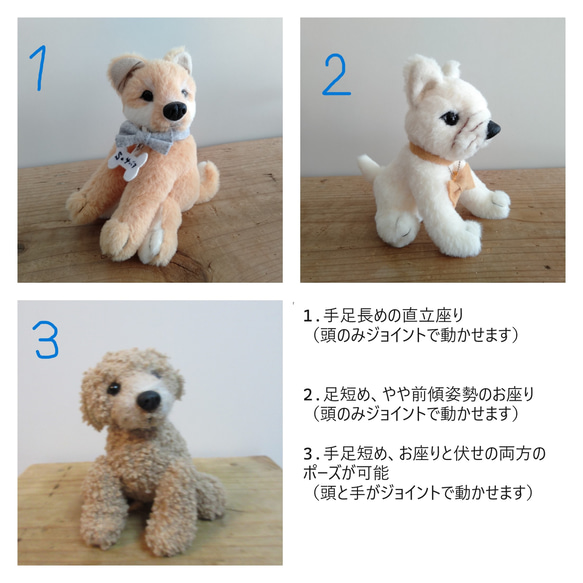【期間限定！お試し価格(5/31まで)】愛犬の写真1枚からオリジナルのぬいぐるみをお作りします　犬　わんこ　ペット　3D 3枚目の画像