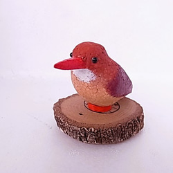 メジロ　レジンヘアゴム　野鳥 メジロ レジンヘアゴム 野鳥