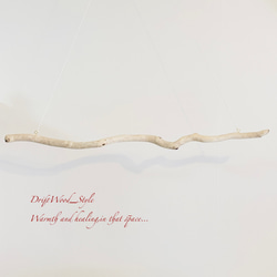 流木インテリア 美しくうねりを描く白い大型流木のハンガーラック 北欧 衣装掛 ハンギング 吊り下げ ハンガーポール 7枚目の画像