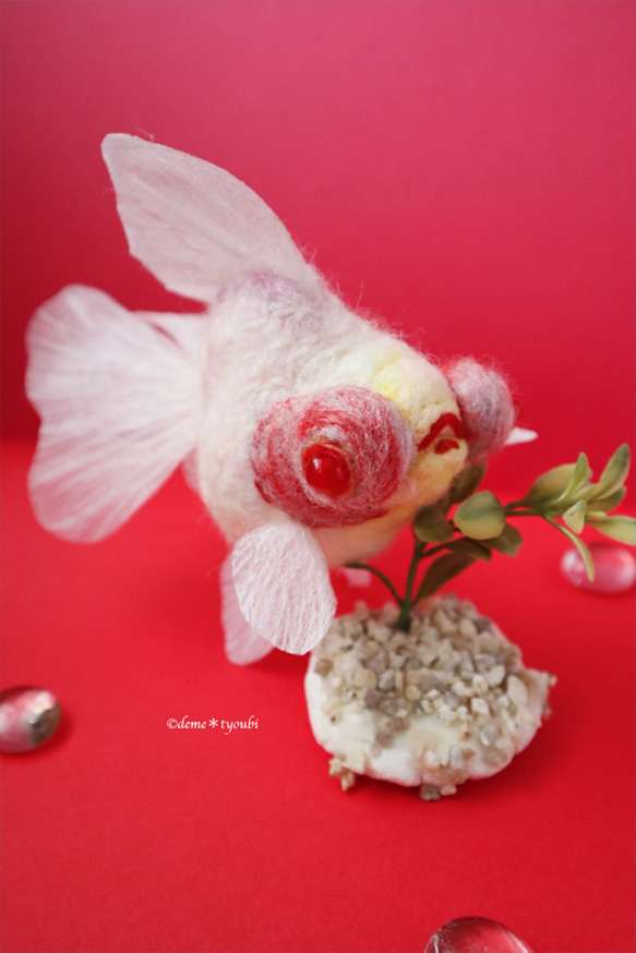 白出目金　金魚　羊毛フェルト　アクアリウム　夏　春　母の日 