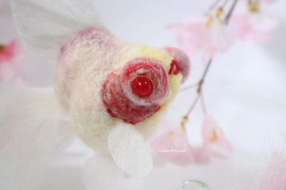 白出目金　金魚　羊毛フェルト　アクアリウム　夏　春　母の日 