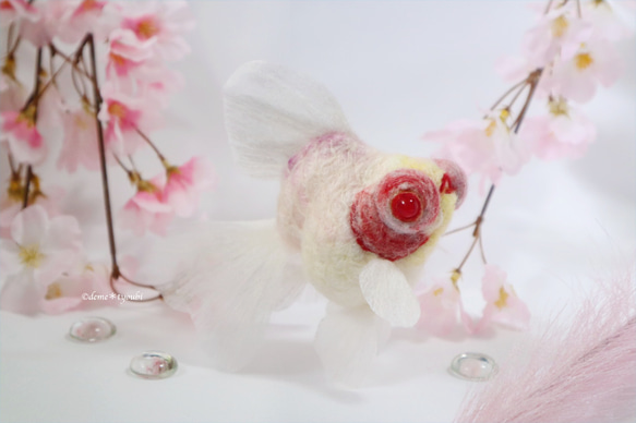 白出目金　金魚　羊毛フェルト　アクアリウム　夏　春　母の日 