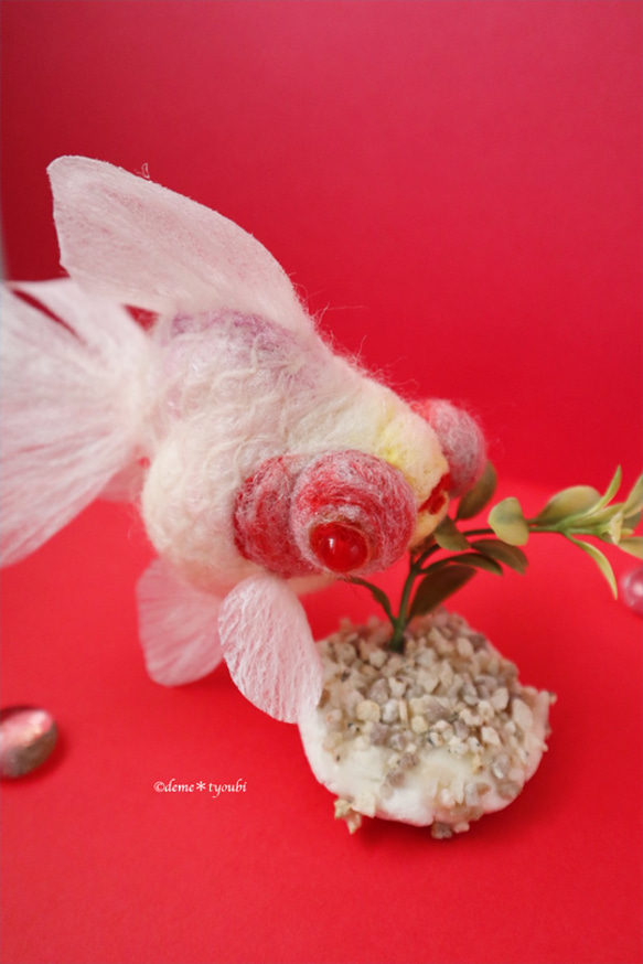 白出目金　金魚　羊毛フェルト　アクアリウム　夏　春　母の日 