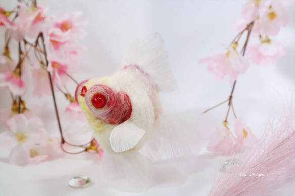 白出目金　金魚　羊毛フェルト　アクアリウム　夏　春　母の日 