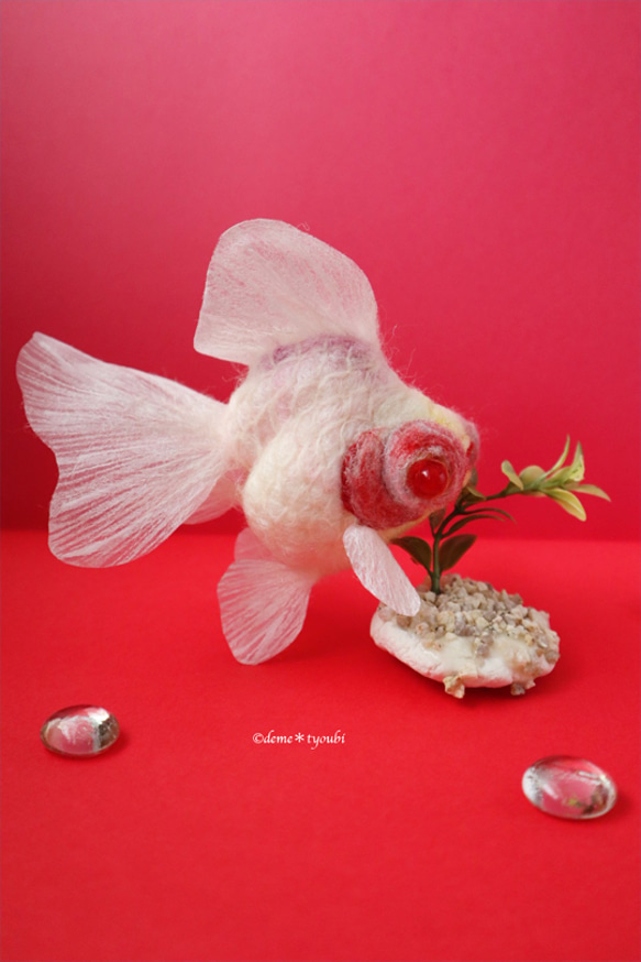 白出目金　金魚　羊毛フェルト　アクアリウム　夏　春　母の日 