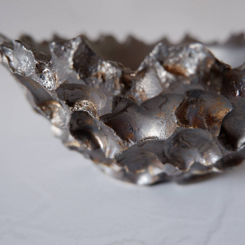 5.5号燻し金彩平鉢207 塊根植物 多肉植物 盆栽 植木鉢 作家鉢 沖縄