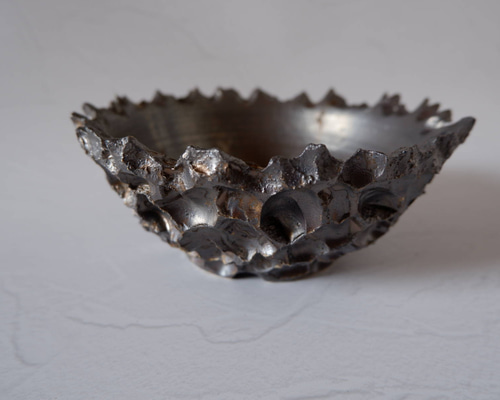 5.5号燻し金彩平鉢207 塊根植物 多肉植物 盆栽 植木鉢 作家鉢 沖縄