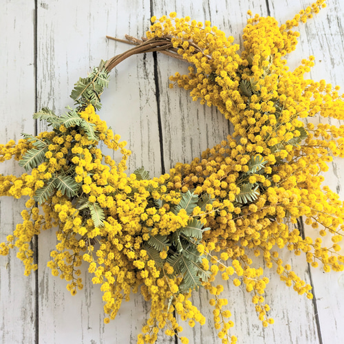 ミモザハーフリース 20cm ドライフラワー Double view 通販｜Creema  