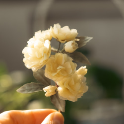 春の黄色　モッコウバラ の 布花 コサージュ 8枚目の画像