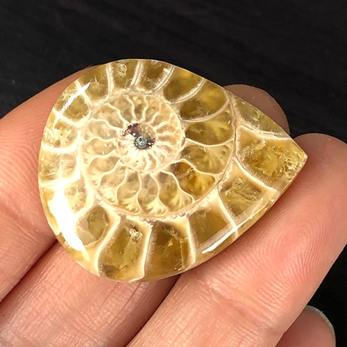 pipi様 ケセラストーン アンモナイト 天然石 pipi様 ケセラストーン