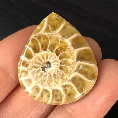 天然石☆水晶☆アンモナイト 878 アンモナイト 天然石 天然石 Aun planet（発送は月水金のみ） 通販