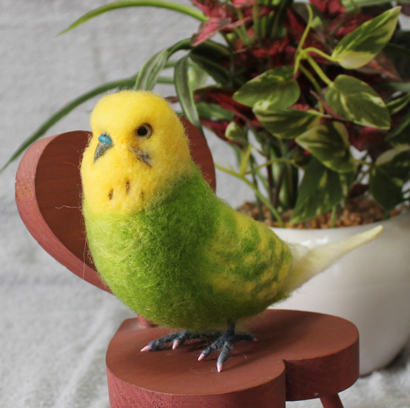 羊毛フェルト オーダー 「リアルで可愛いインコちゃん」セキセイ