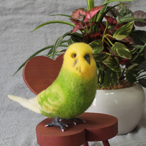 羊毛フェルト インコちゃんオーダーページ ① 羊毛フェルト インコちゃんオーダーページ ① 羊毛フェルト