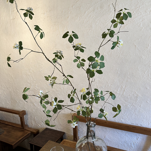 送料込み] ドウダンツツジ N10W 白花 フェイクグリーン 2本 115cm 枝