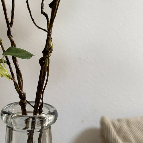 送料込み] ドウダンツツジ N10W 白花 フェイクグリーン 2本 115cm 枝