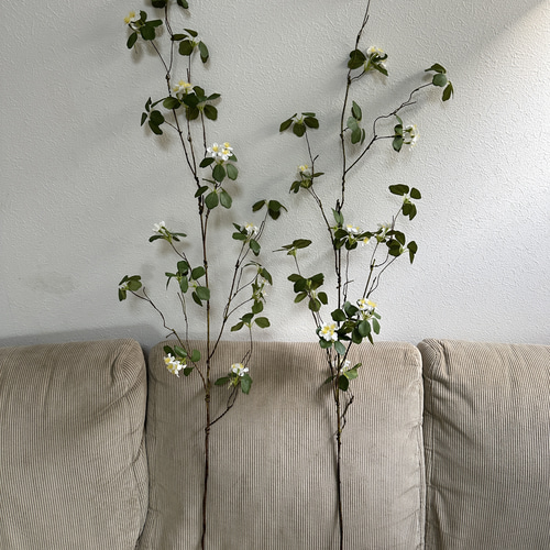 送料込み] ドウダンツツジ N10W 白花 フェイクグリーン 2本 115cm 枝