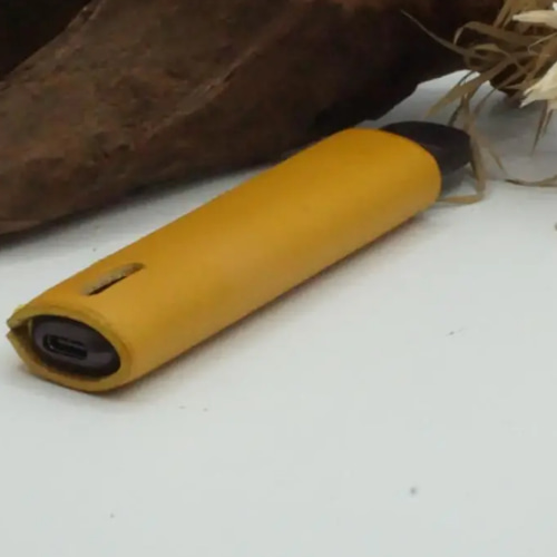 DR.VEPE3 ドクターベイプ3ケース 栃木レザー アイコスケース