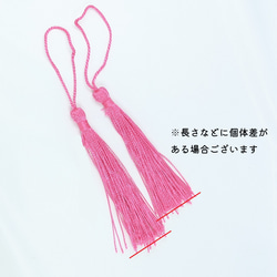  第6張的照片